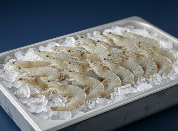 Camarones con cabeza sobre hielo